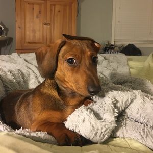 Meet your Posher, Sonja